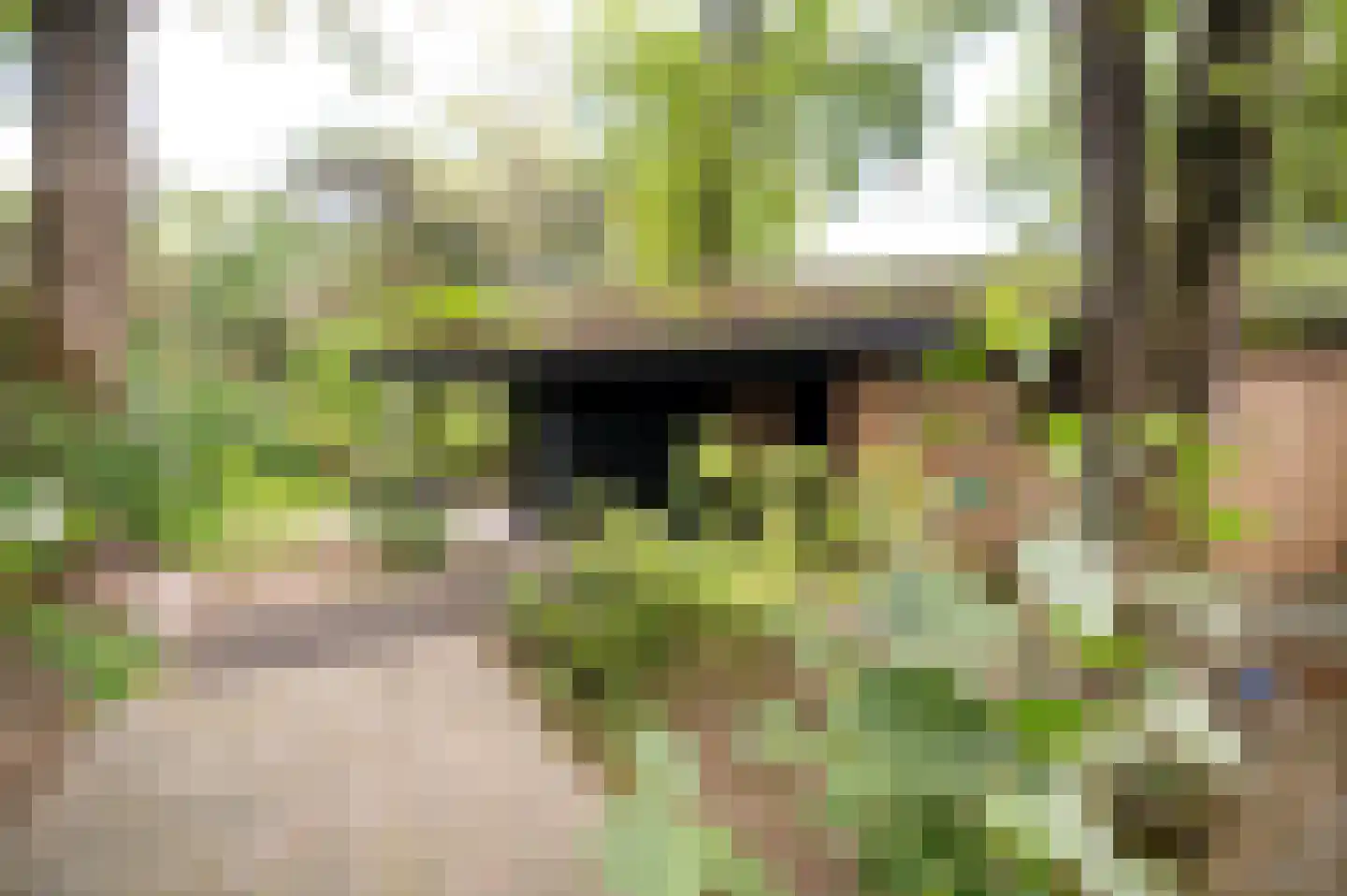 Roekelseweg 48 R 196 Wekerom thumbnail 23