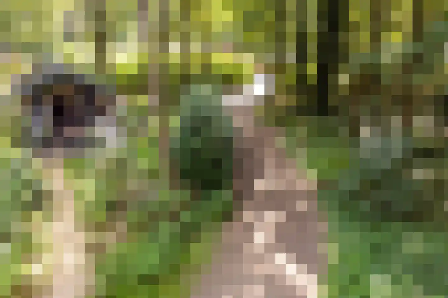 Roekelseweg 48 R 196 Wekerom thumbnail 4