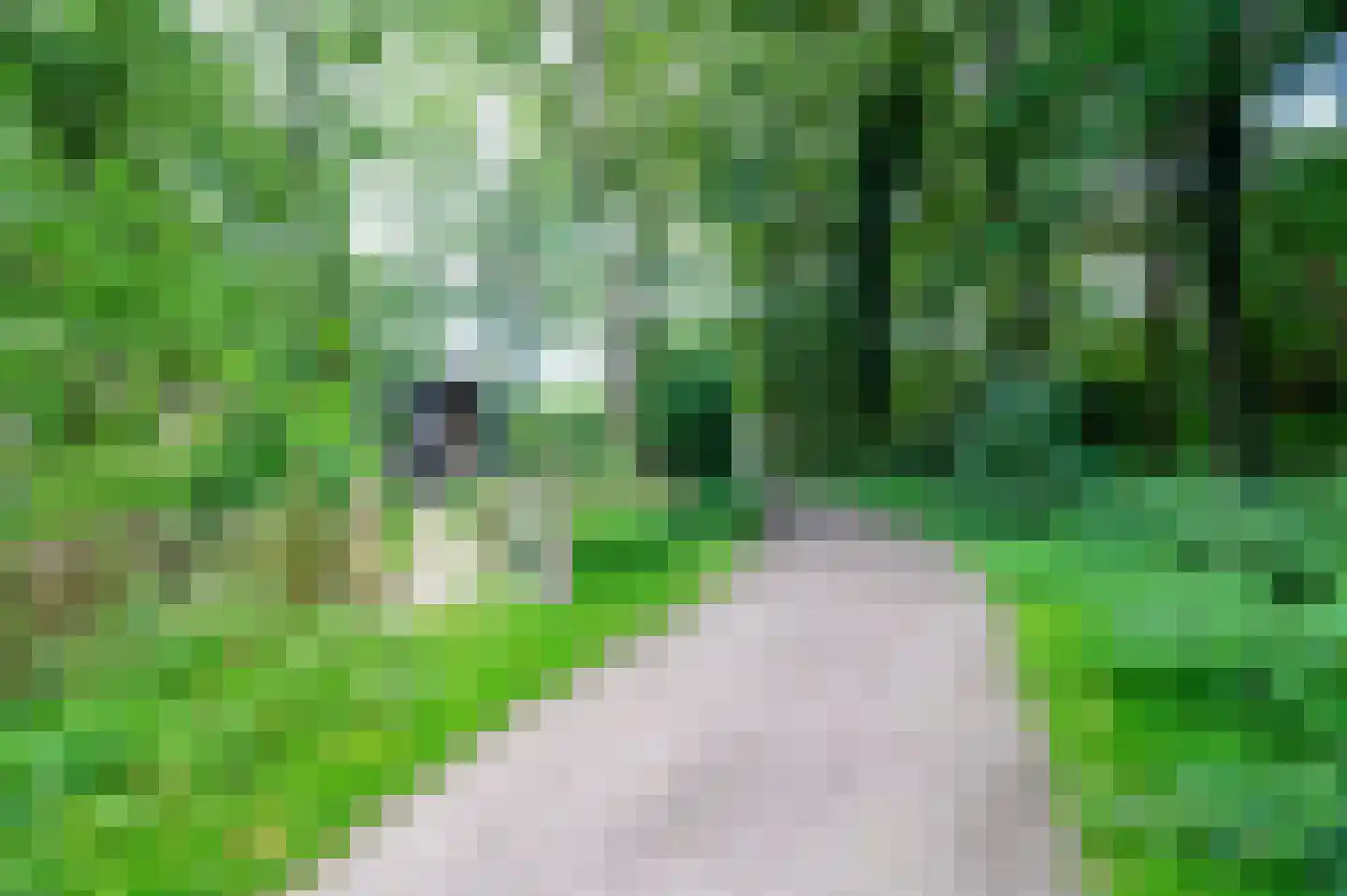 Roekelseweg 48 R 196 Wekerom thumbnail 5