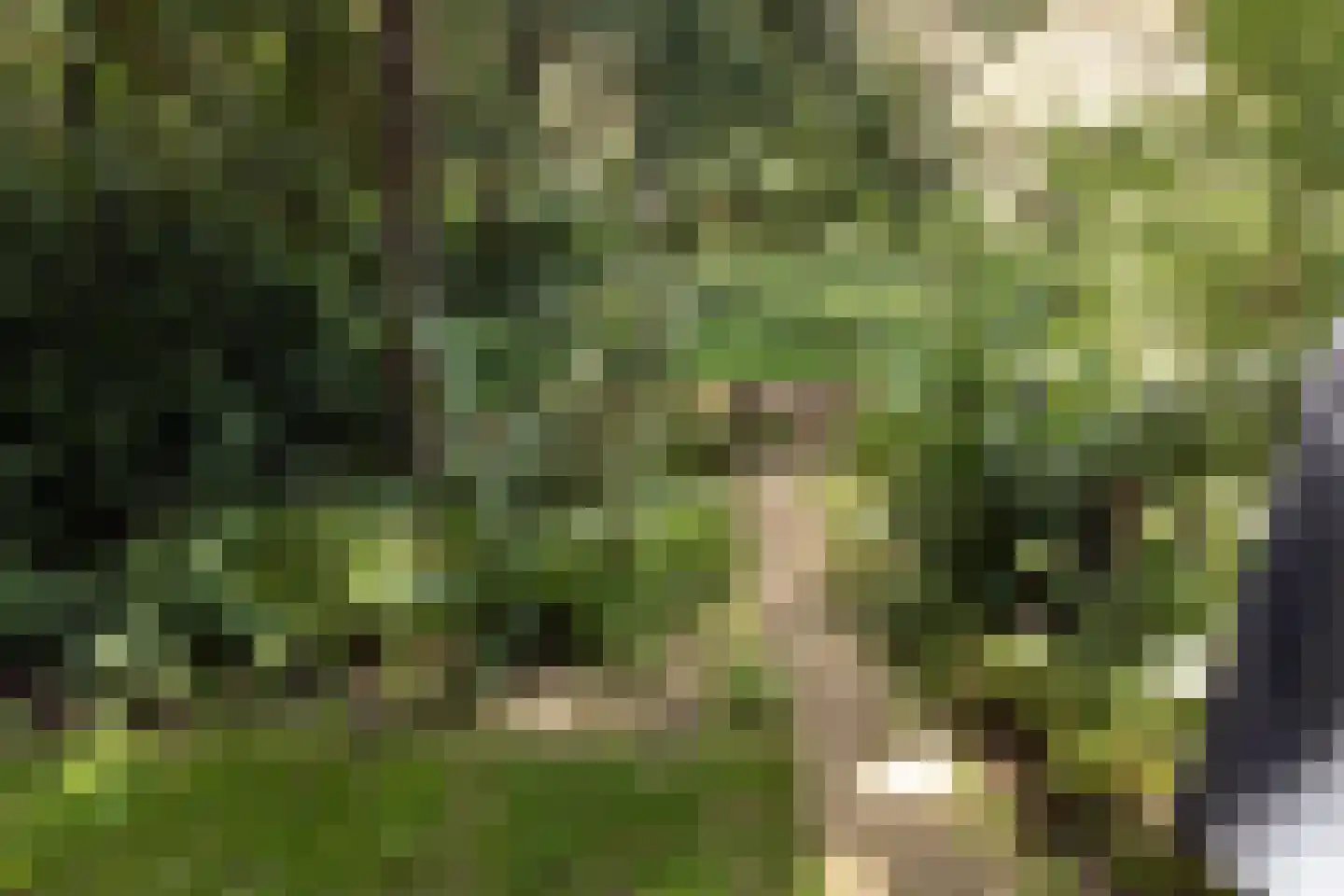Roekelseweg 48 R 196 Wekerom thumbnail 6
