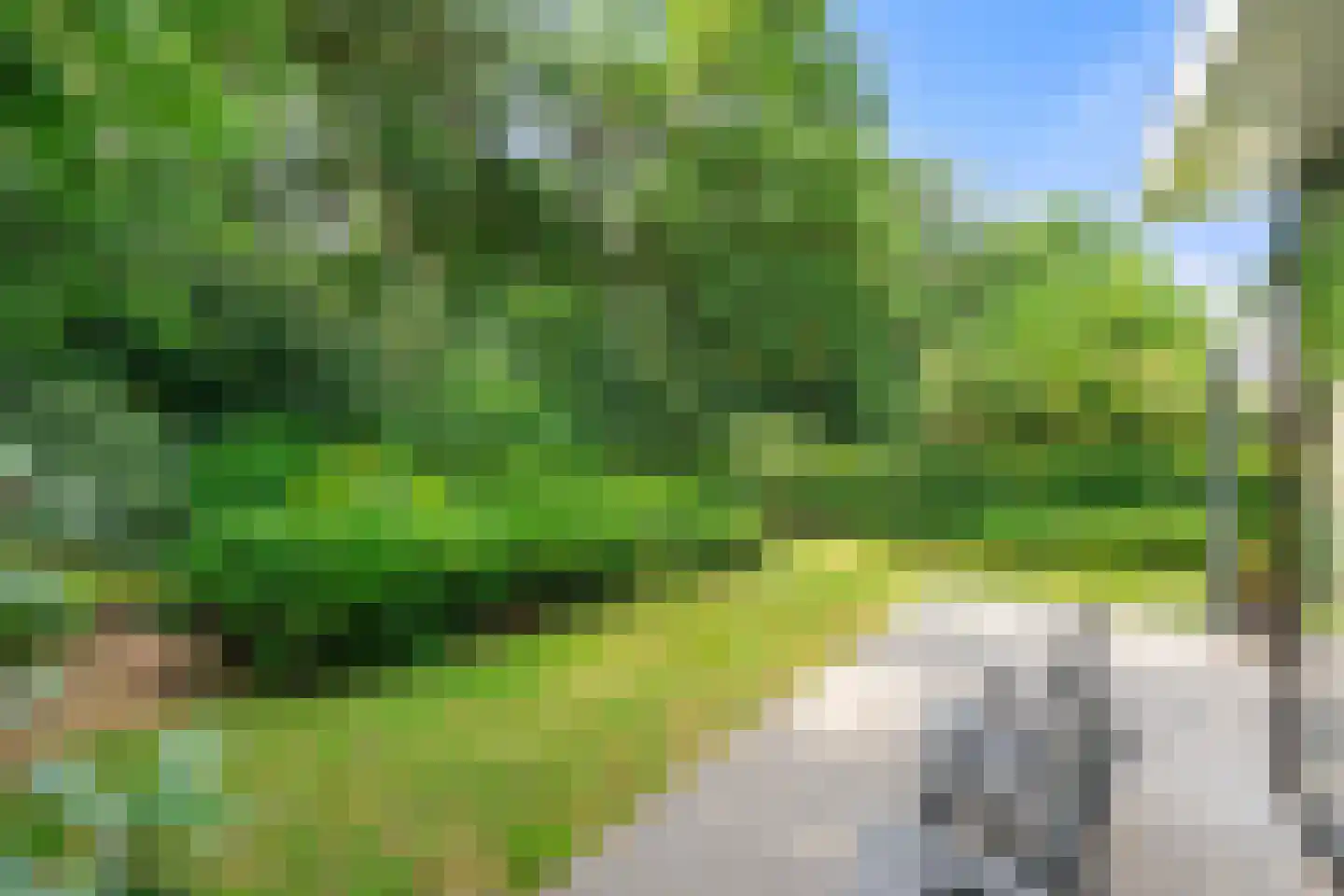Roekelseweg 48 R 26 Wekerom thumbnail 22