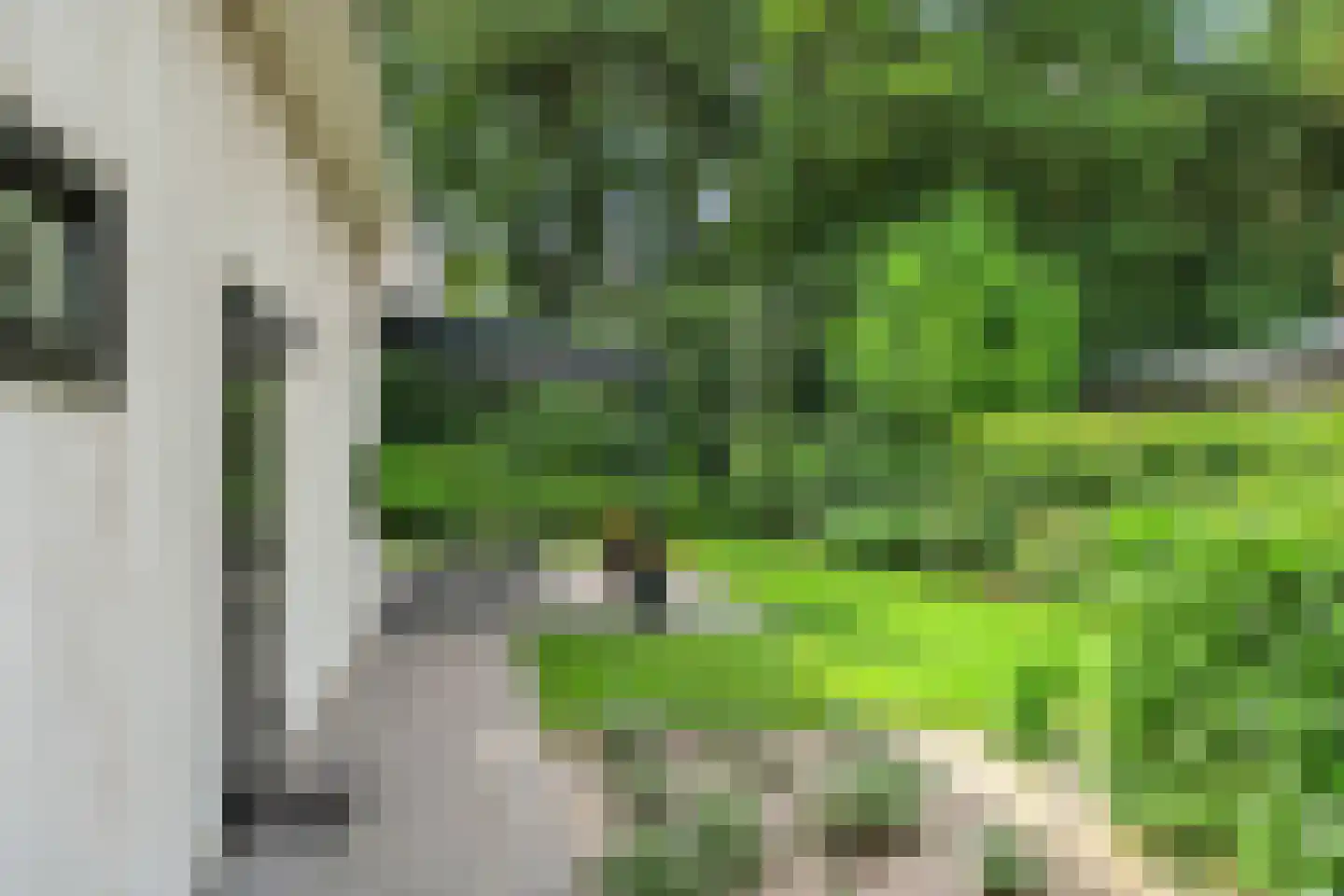 Roekelseweg 48 R 26 Wekerom thumbnail 4