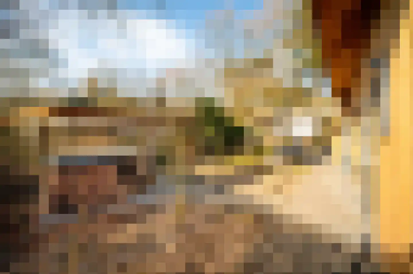 Roekelseweg 48 R 34 Wekerom thumbnail 29