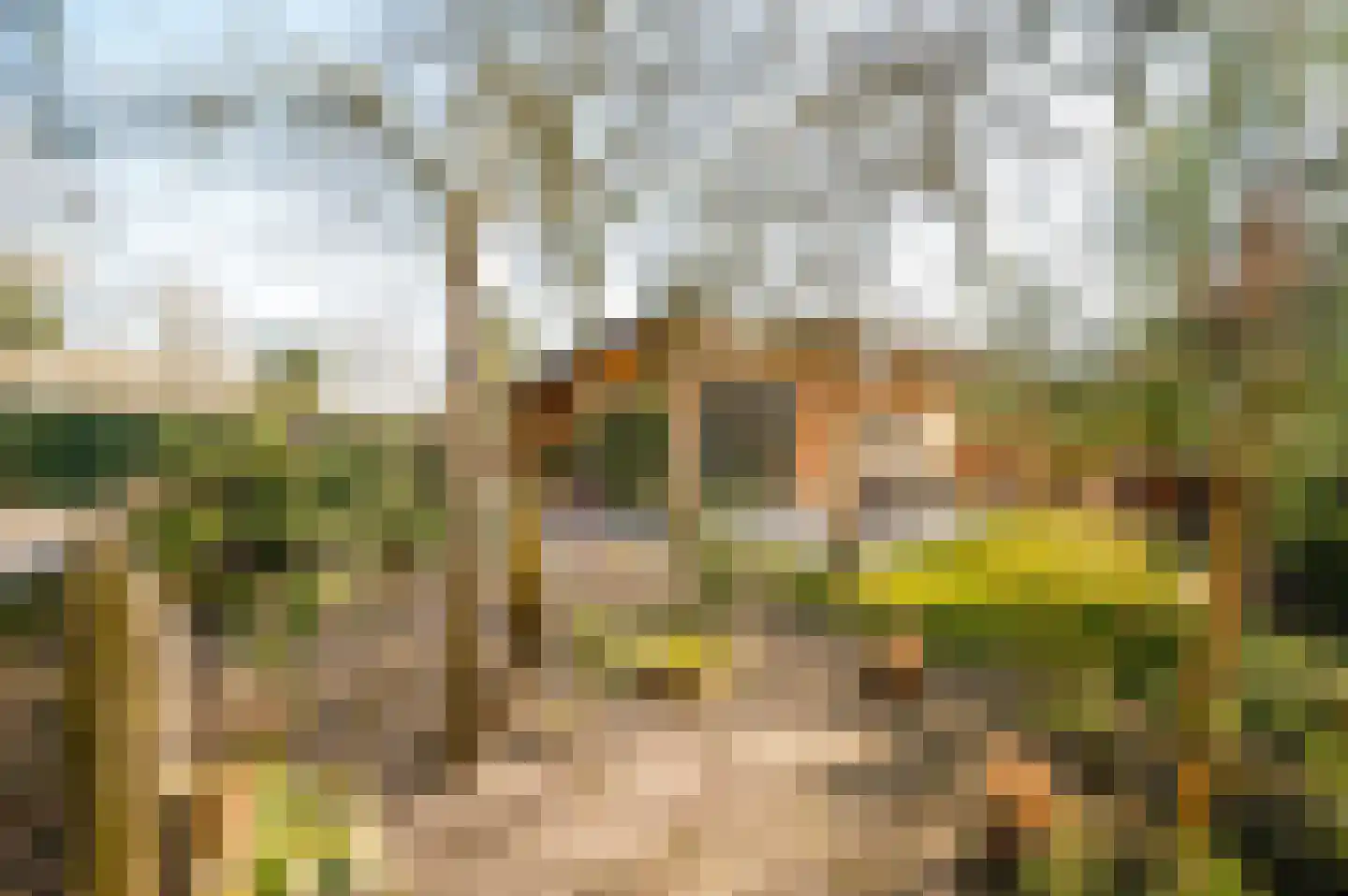 Roekelseweg 48 R 34 Wekerom thumbnail 31
