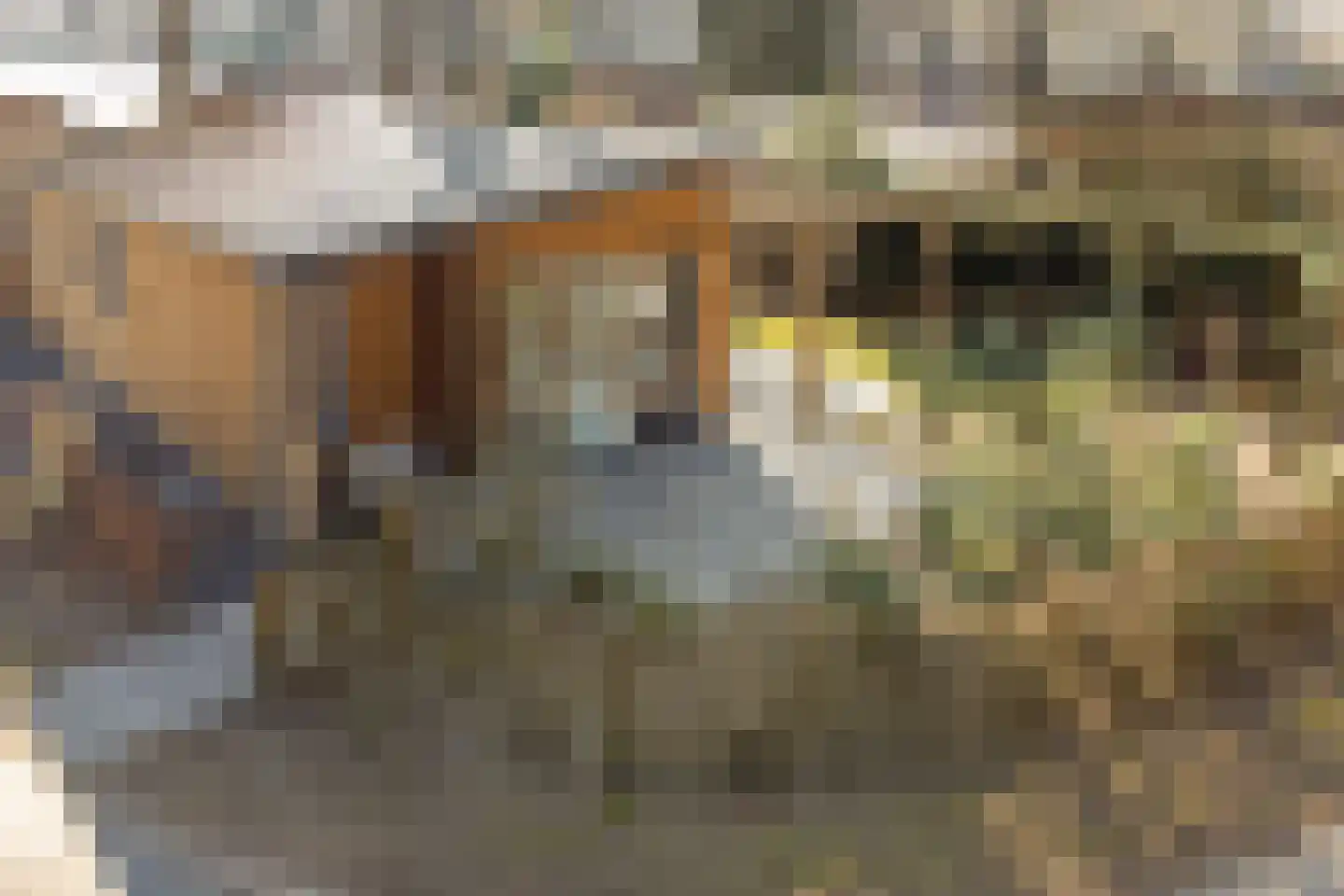Roekelseweg 48 R 34 Wekerom thumbnail 32
