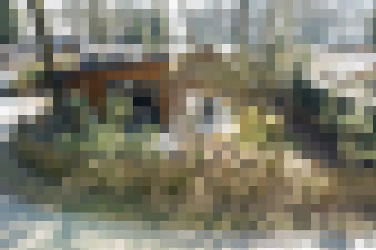 Roekelseweg 48 R 34 Wekerom thumbnail 4
