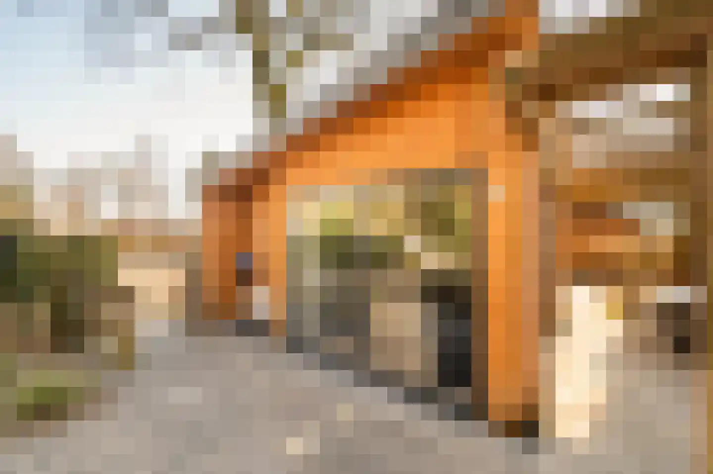 Roekelseweg 48 R 34 Wekerom thumbnail 5