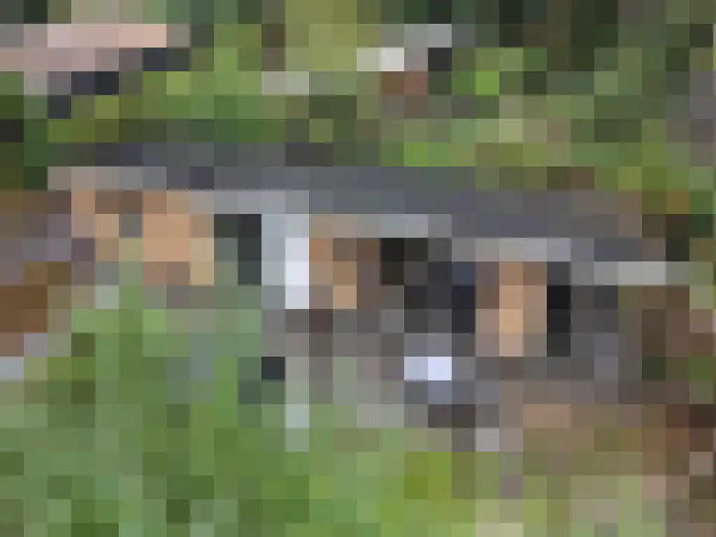 Roekelseweg 48 R 53 Wekerom thumbnail 10