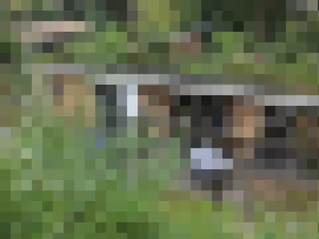 Roekelseweg 48 R 53 Wekerom thumbnail 11