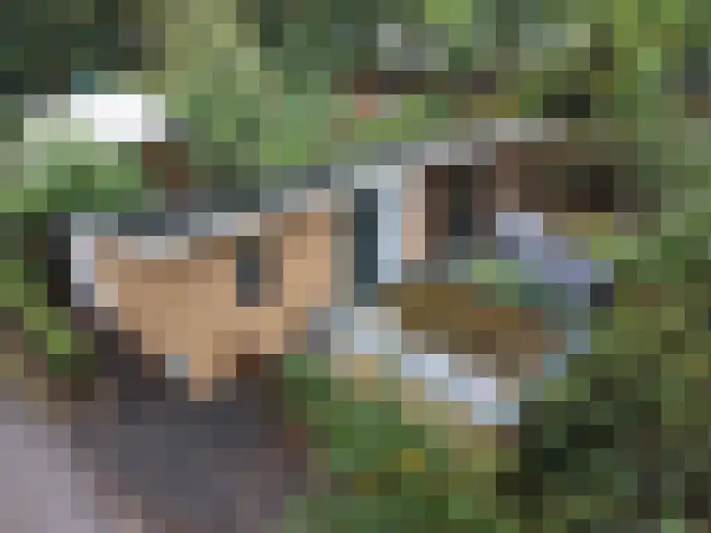Roekelseweg 48 R 53 Wekerom thumbnail 16