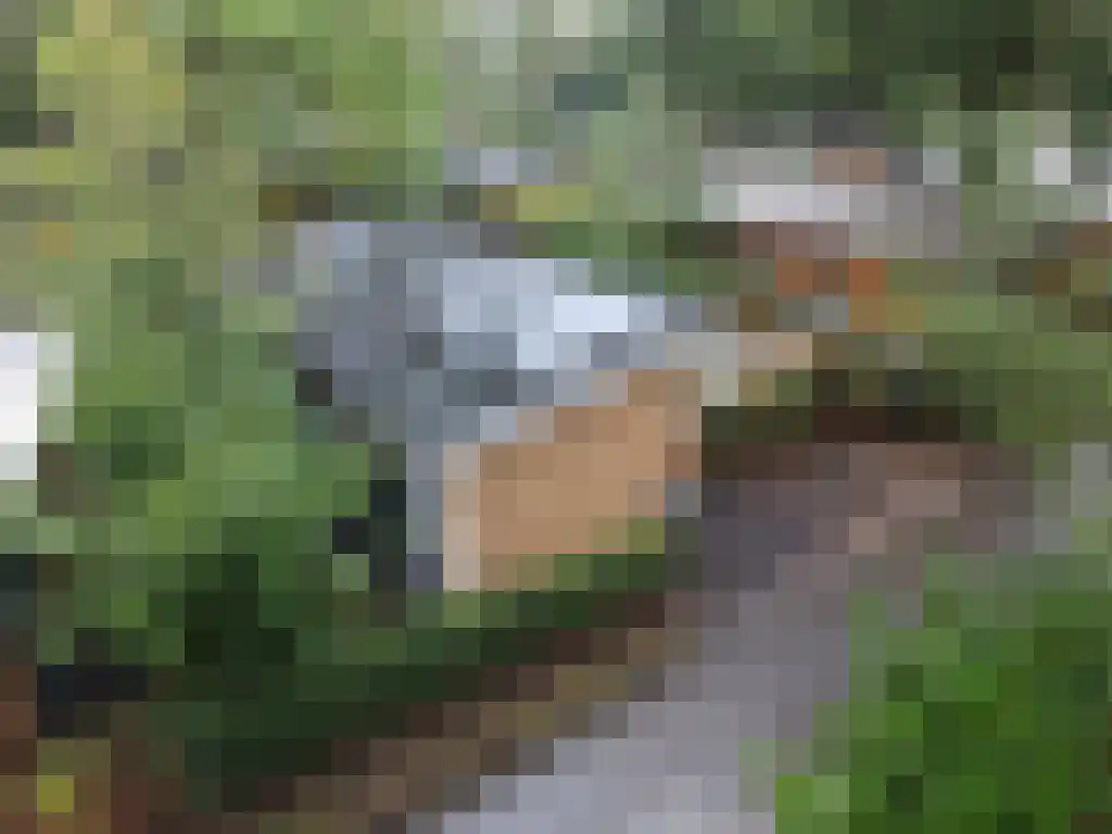 Roekelseweg 48 R 53 Wekerom thumbnail 19