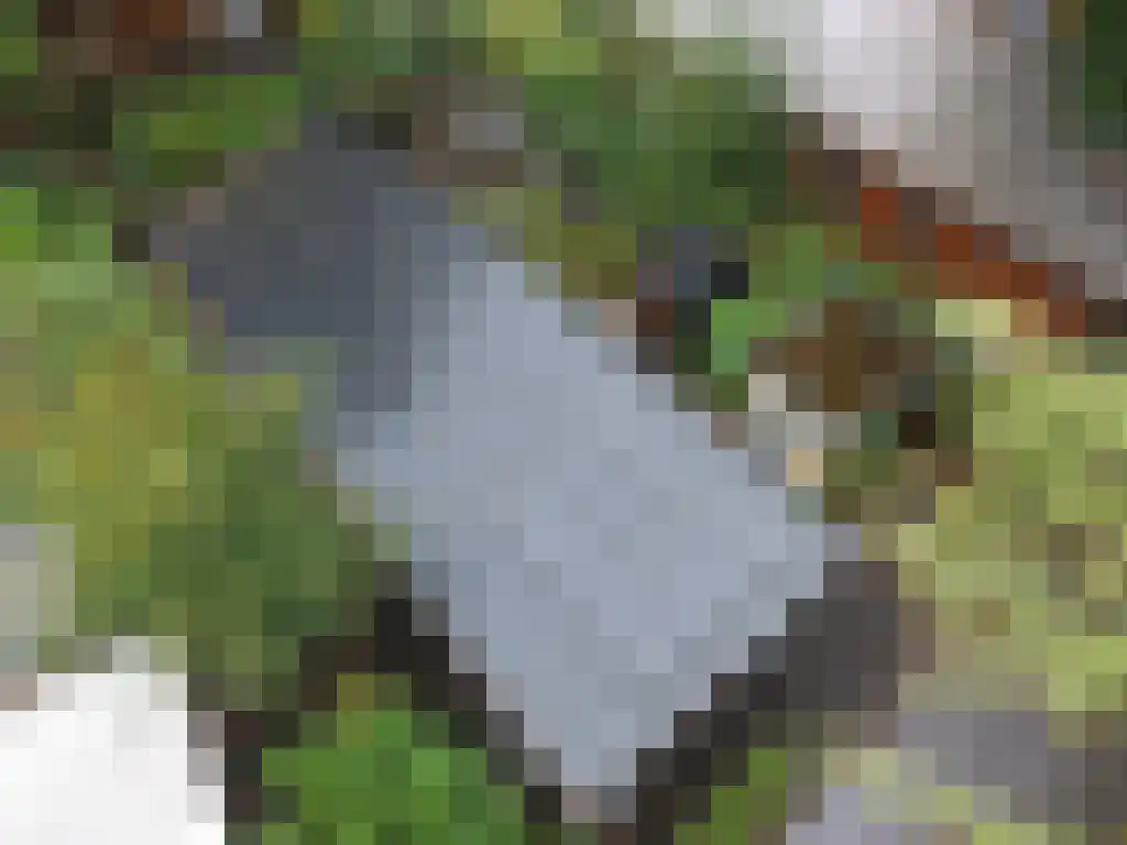 Roekelseweg 48 R 53 Wekerom thumbnail 21
