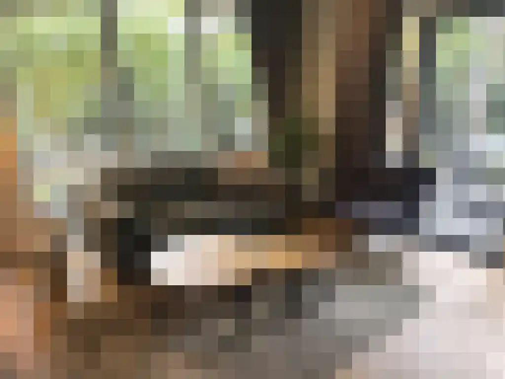 Roekelseweg 48 R 53 Wekerom thumbnail 24