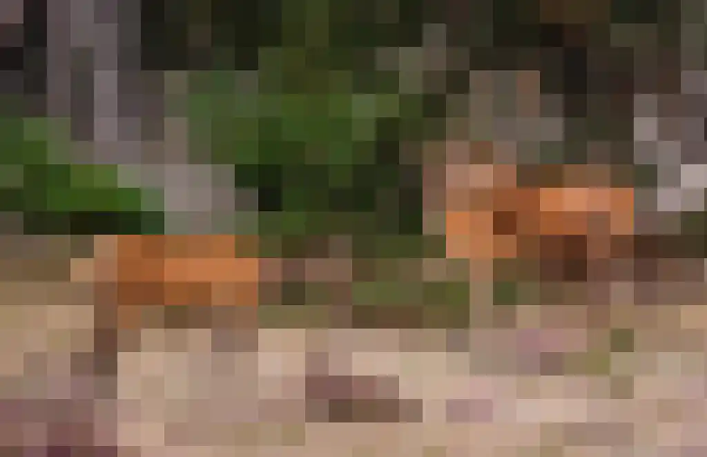 Roekelseweg 48 R 53 Wekerom thumbnail 32