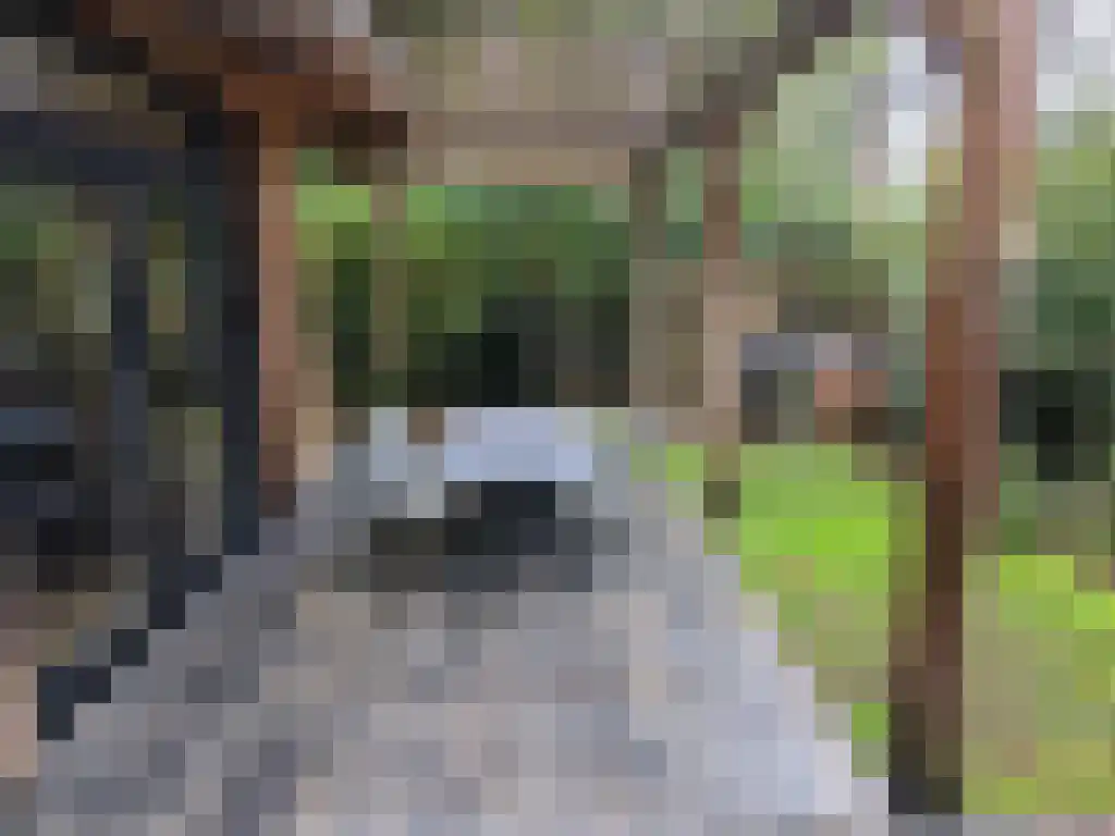 Roekelseweg 48 R 53 Wekerom thumbnail 36