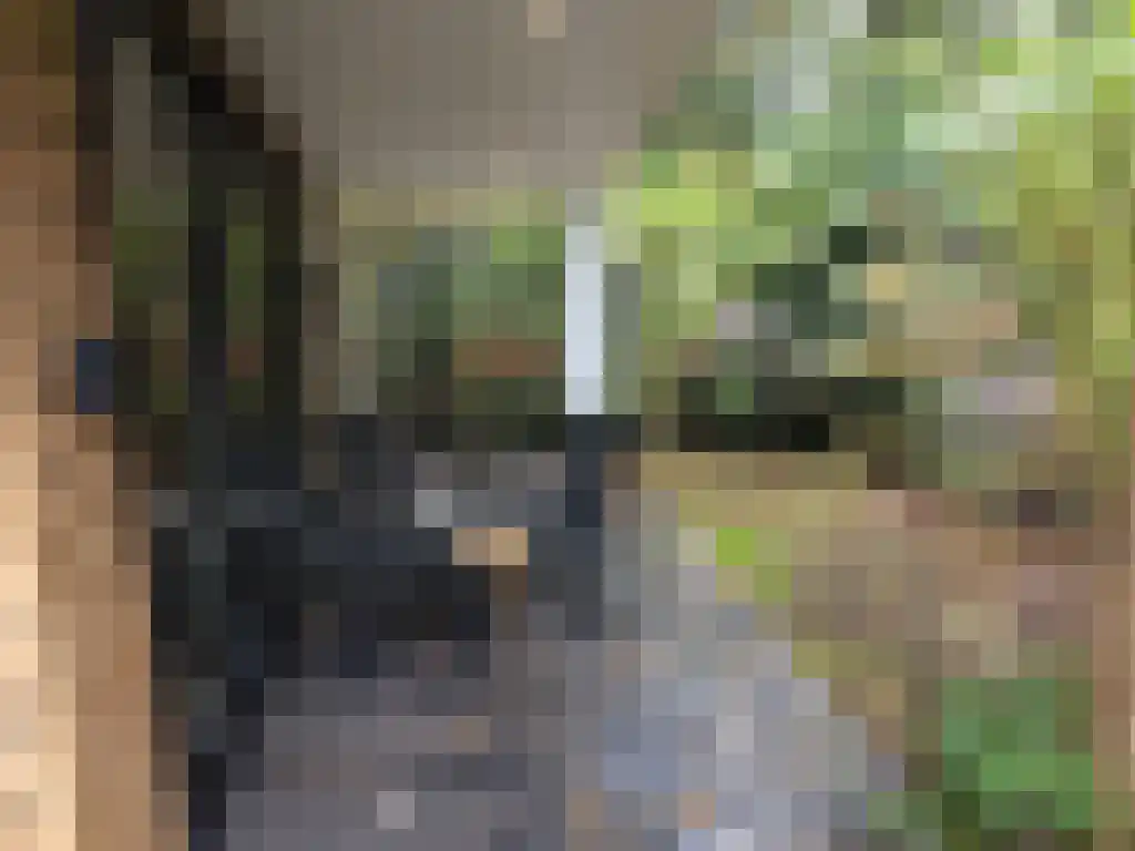 Roekelseweg 48 R 53 Wekerom thumbnail 37