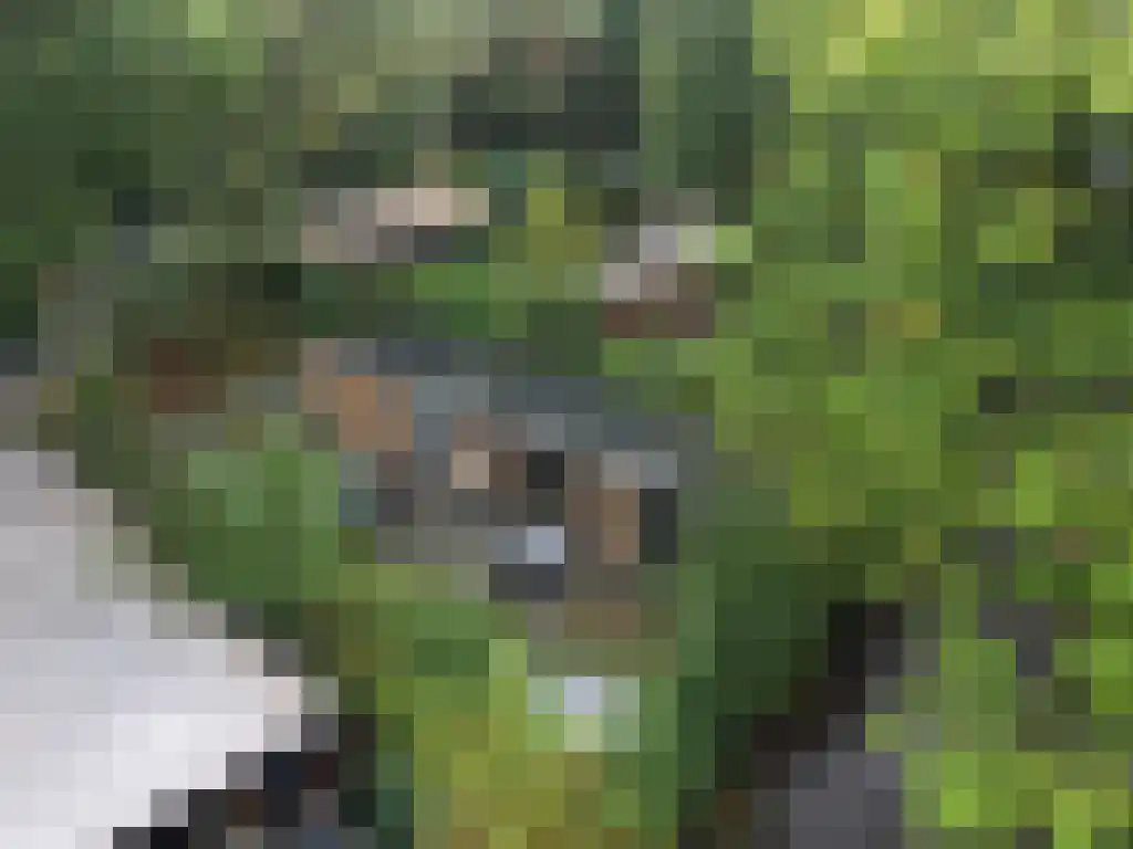 Roekelseweg 48 R 53 Wekerom thumbnail 4