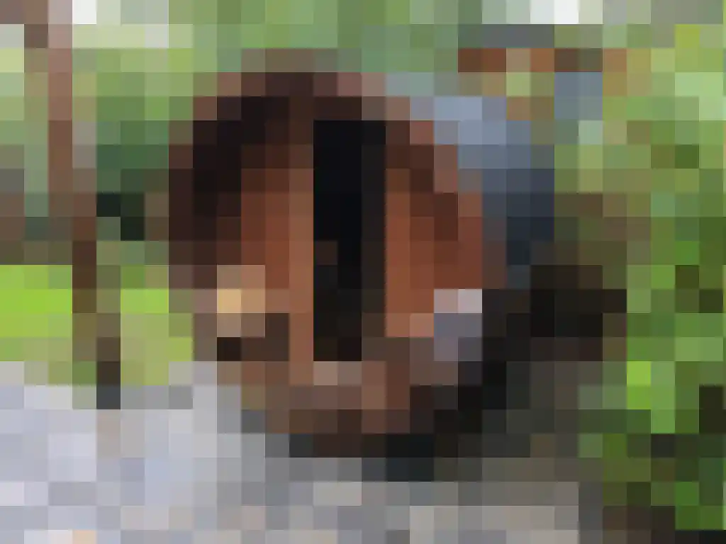 Roekelseweg 48 R 53 Wekerom thumbnail 40
