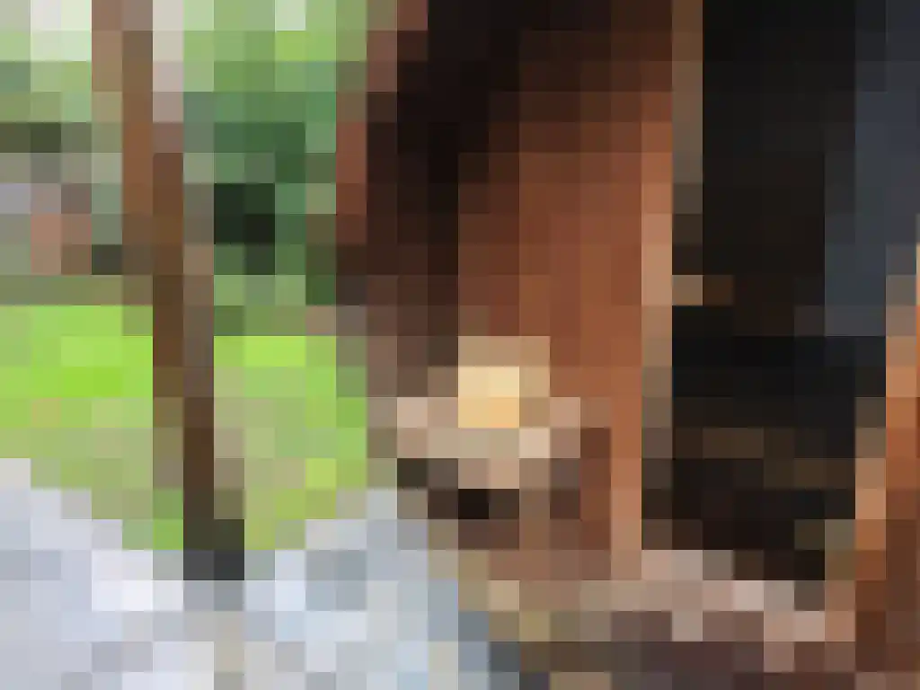 Roekelseweg 48 R 53 Wekerom thumbnail 41