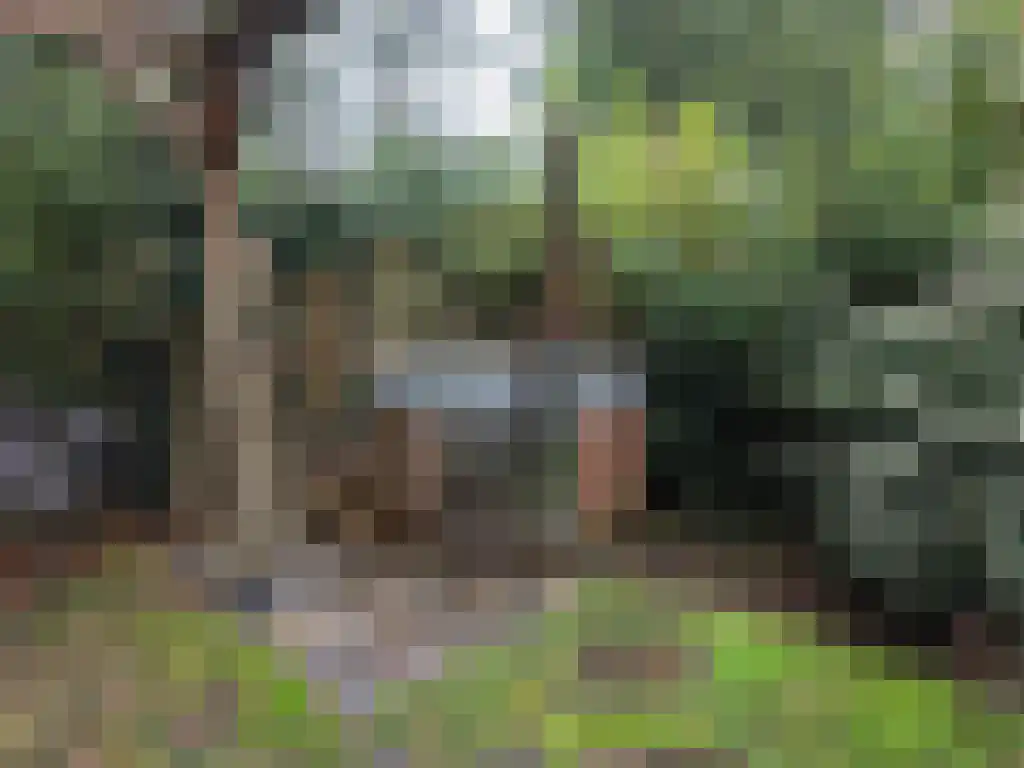 Roekelseweg 48 R 53 Wekerom thumbnail 42