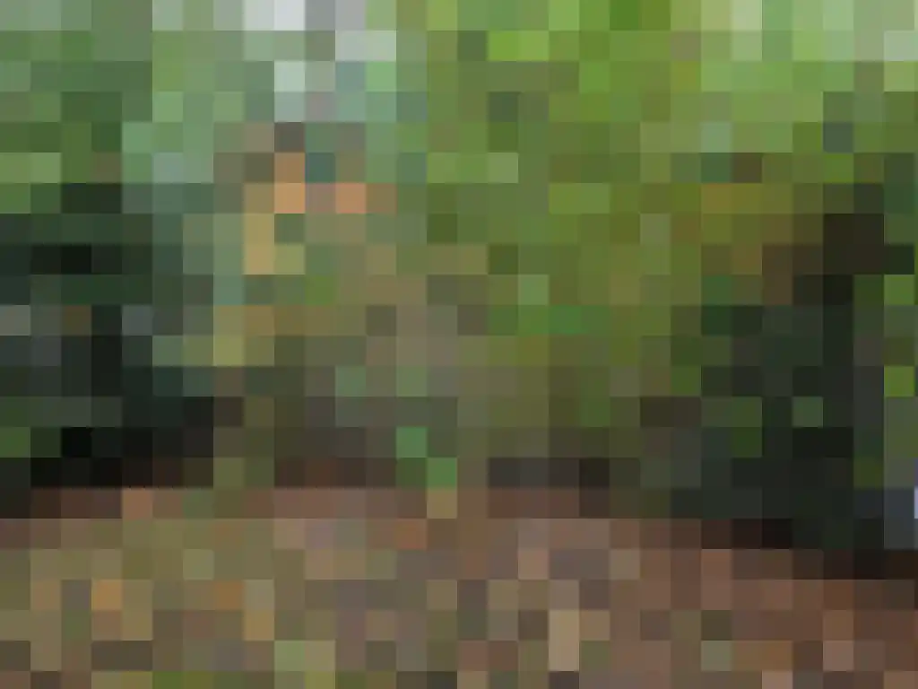 Roekelseweg 48 R 53 Wekerom thumbnail 43