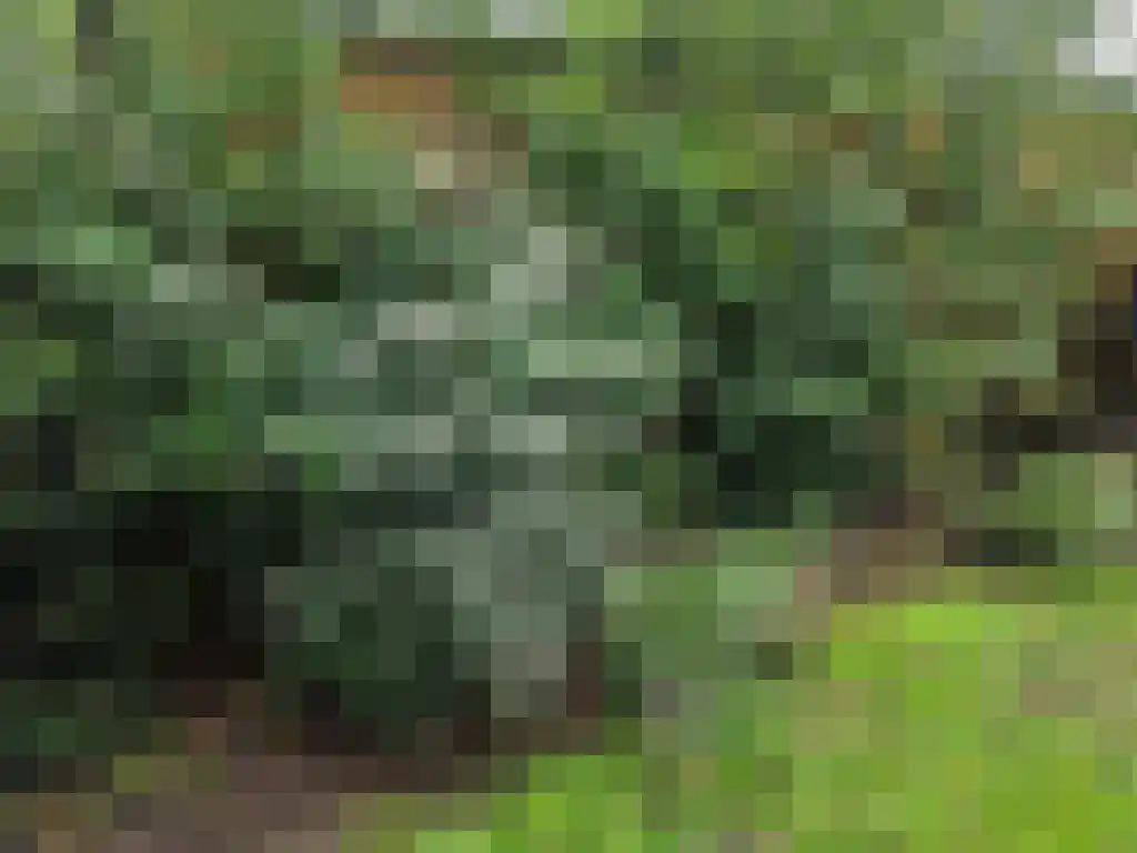 Roekelseweg 48 R 53 Wekerom thumbnail 44