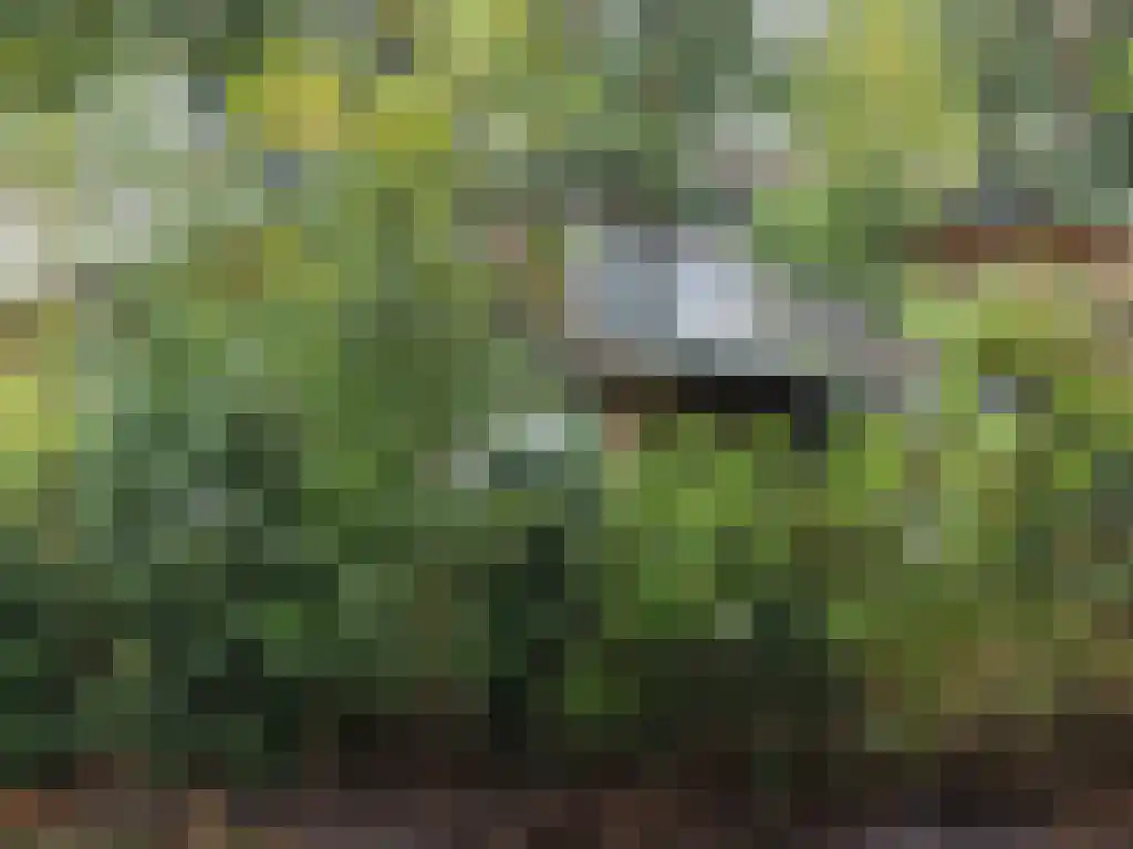 Roekelseweg 48 R 53 Wekerom thumbnail 5