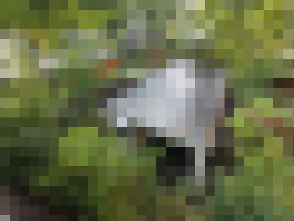 Roekelseweg 48 R 53 Wekerom thumbnail 6