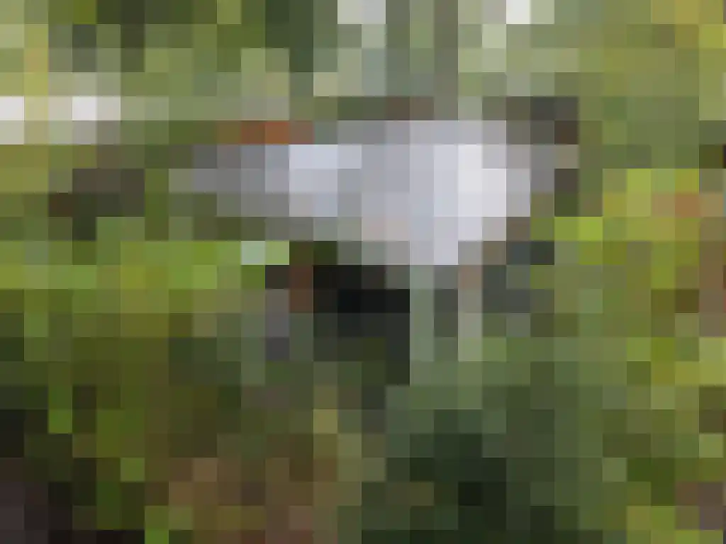 Roekelseweg 48 R 53 Wekerom thumbnail 7