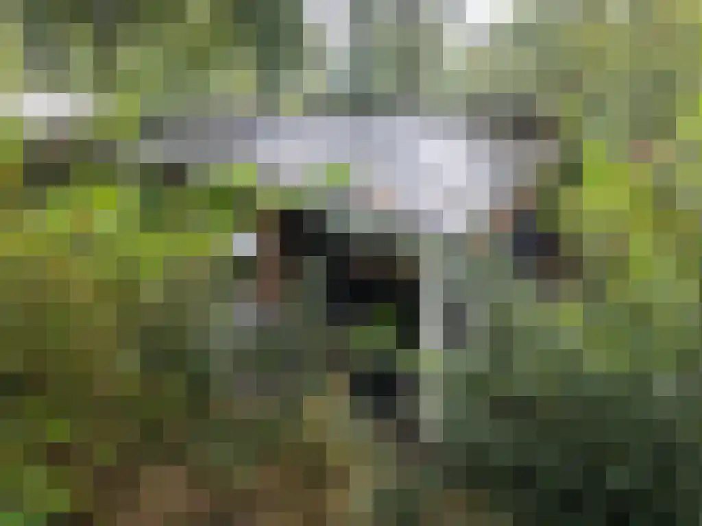 Roekelseweg 48 R 53 Wekerom thumbnail 8