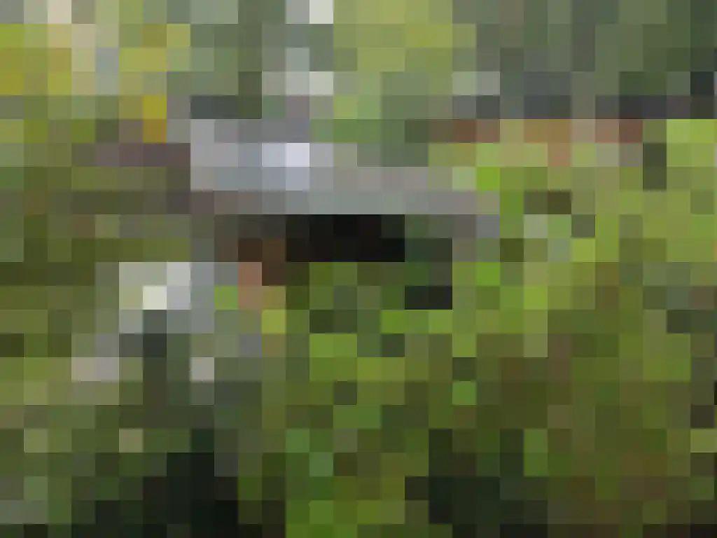 Roekelseweg 48 R 53 Wekerom thumbnail 9