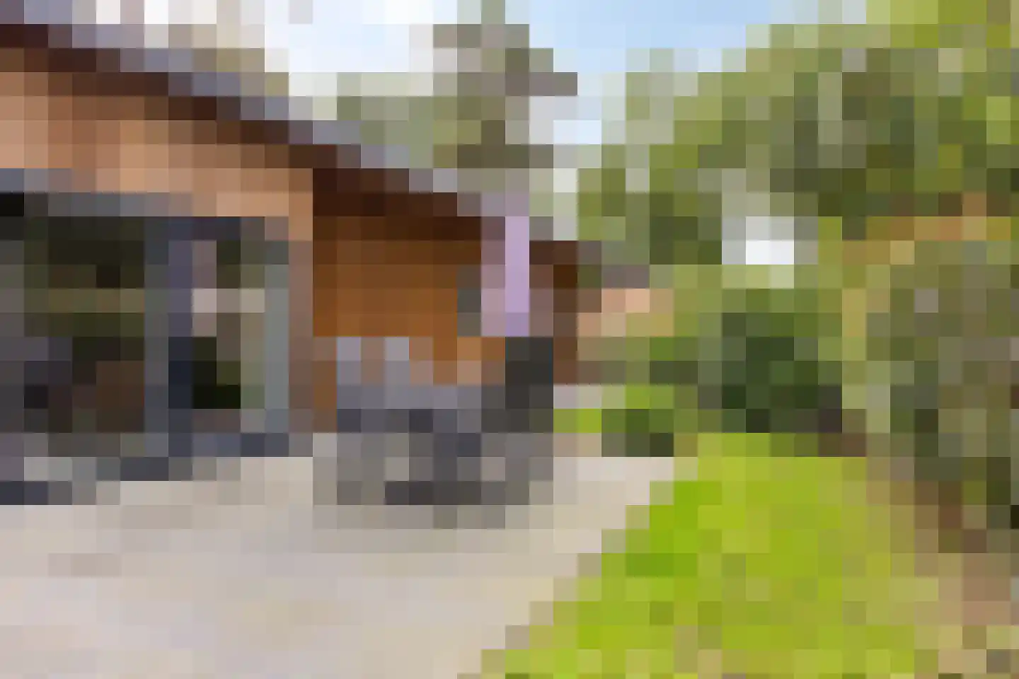 Roekelseweg 48 R 59 Wekerom thumbnail 31