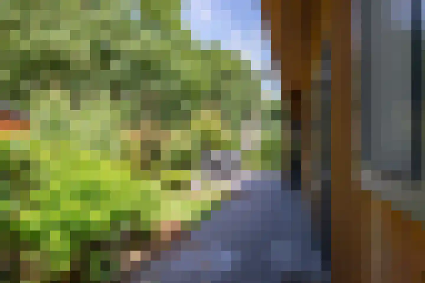Roekelseweg 48 R 59 Wekerom thumbnail 6