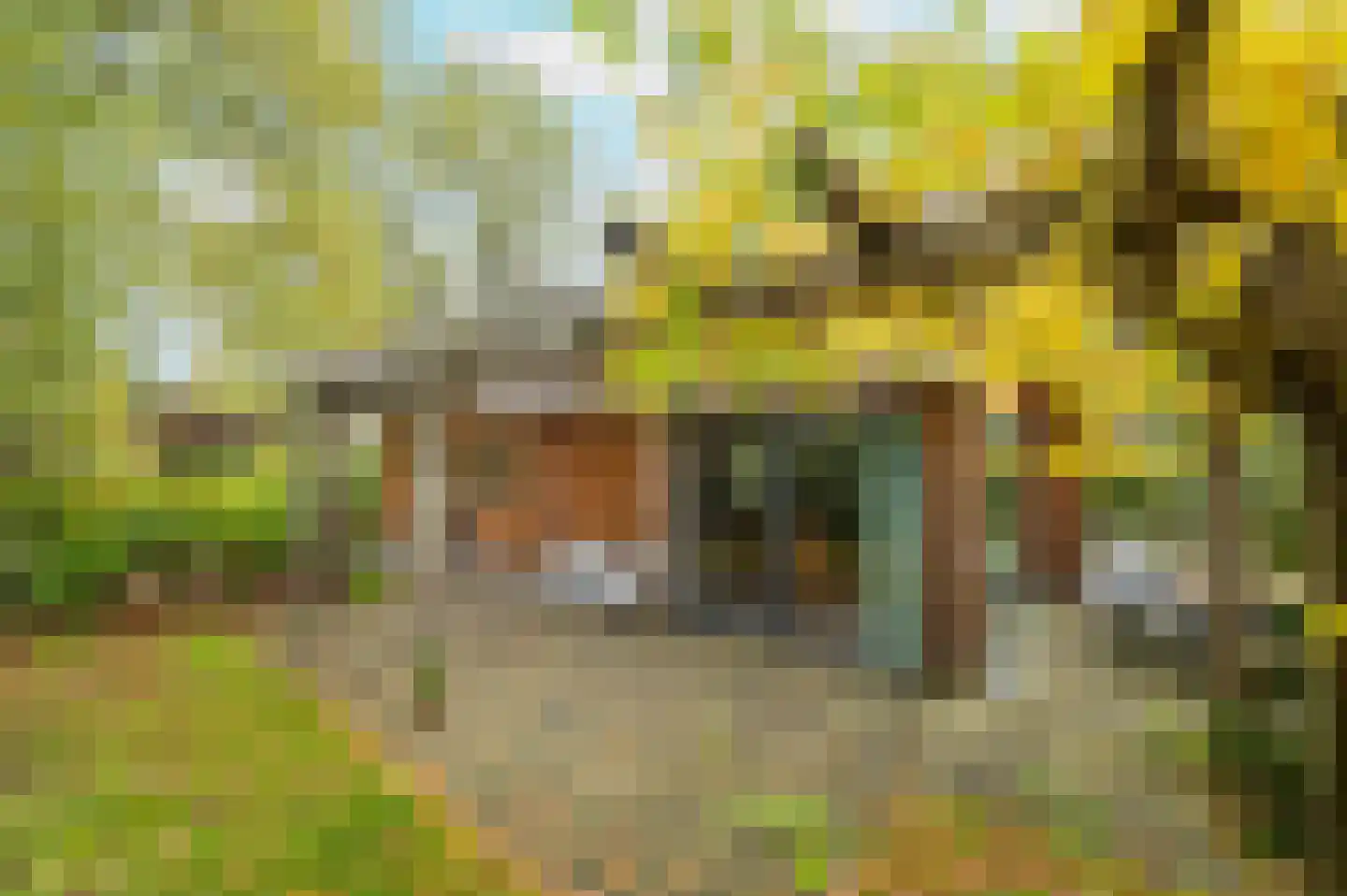 Roekelseweg 48 R 78 Wekerom thumbnail 23