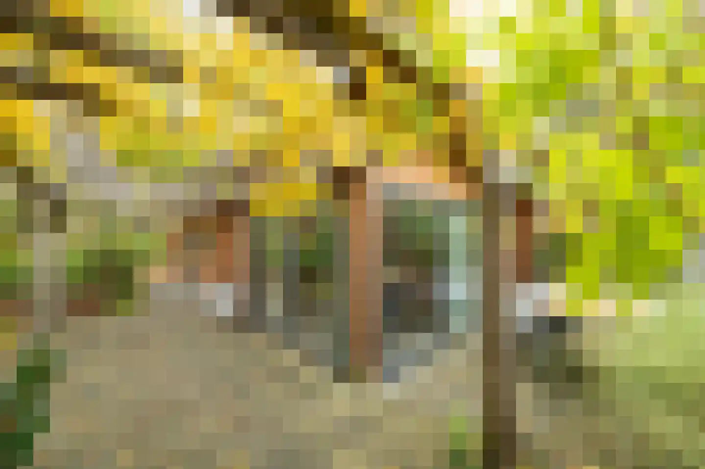 Roekelseweg 48 R 78 Wekerom thumbnail 24