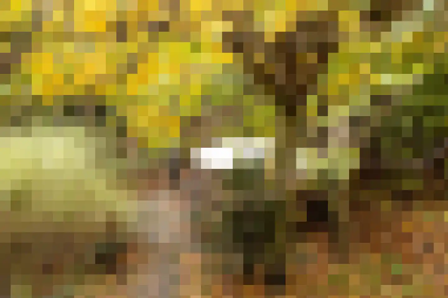 Roekelseweg 48 R 78 Wekerom thumbnail 25