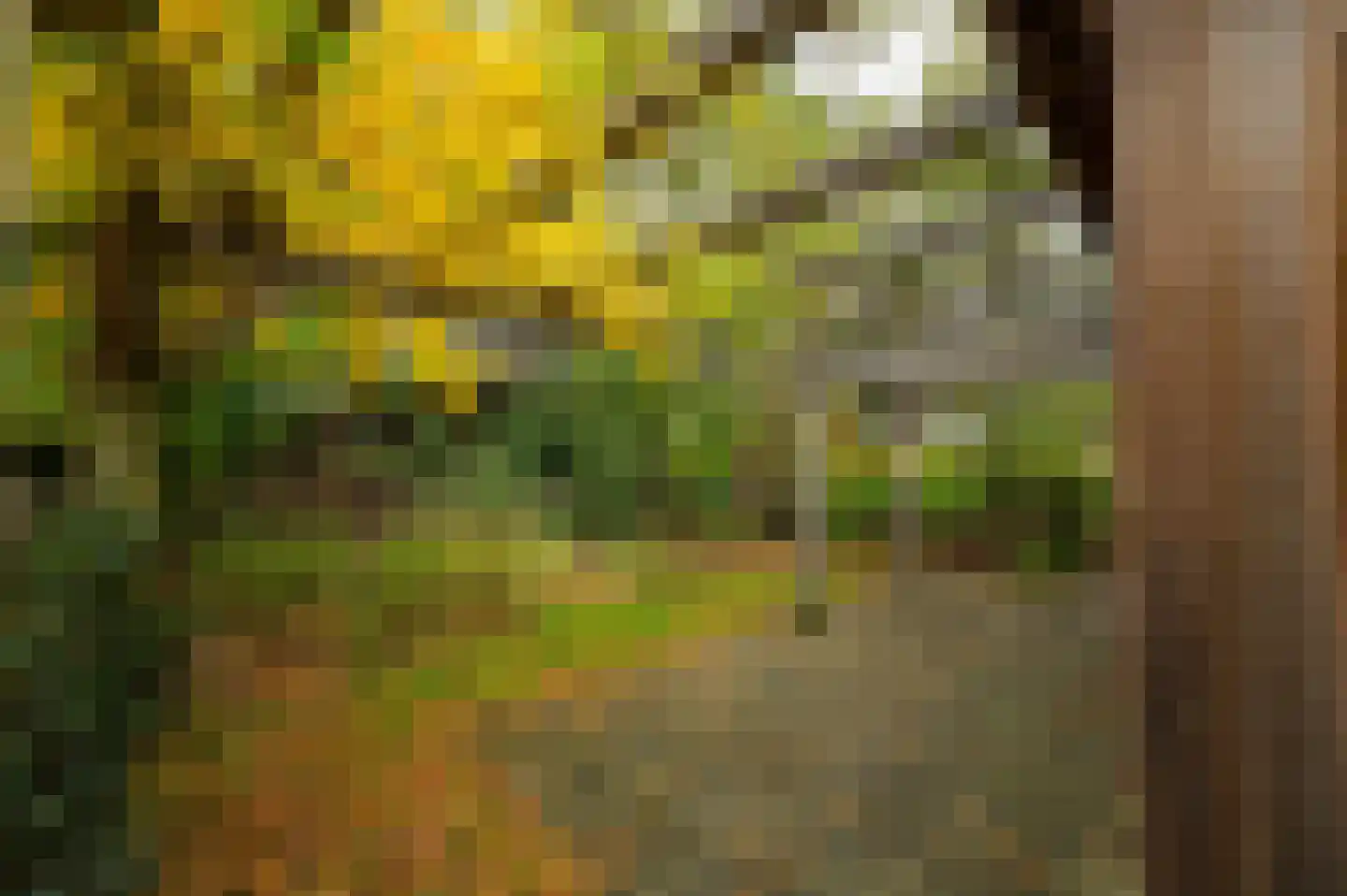 Roekelseweg 48 R 78 Wekerom thumbnail 26