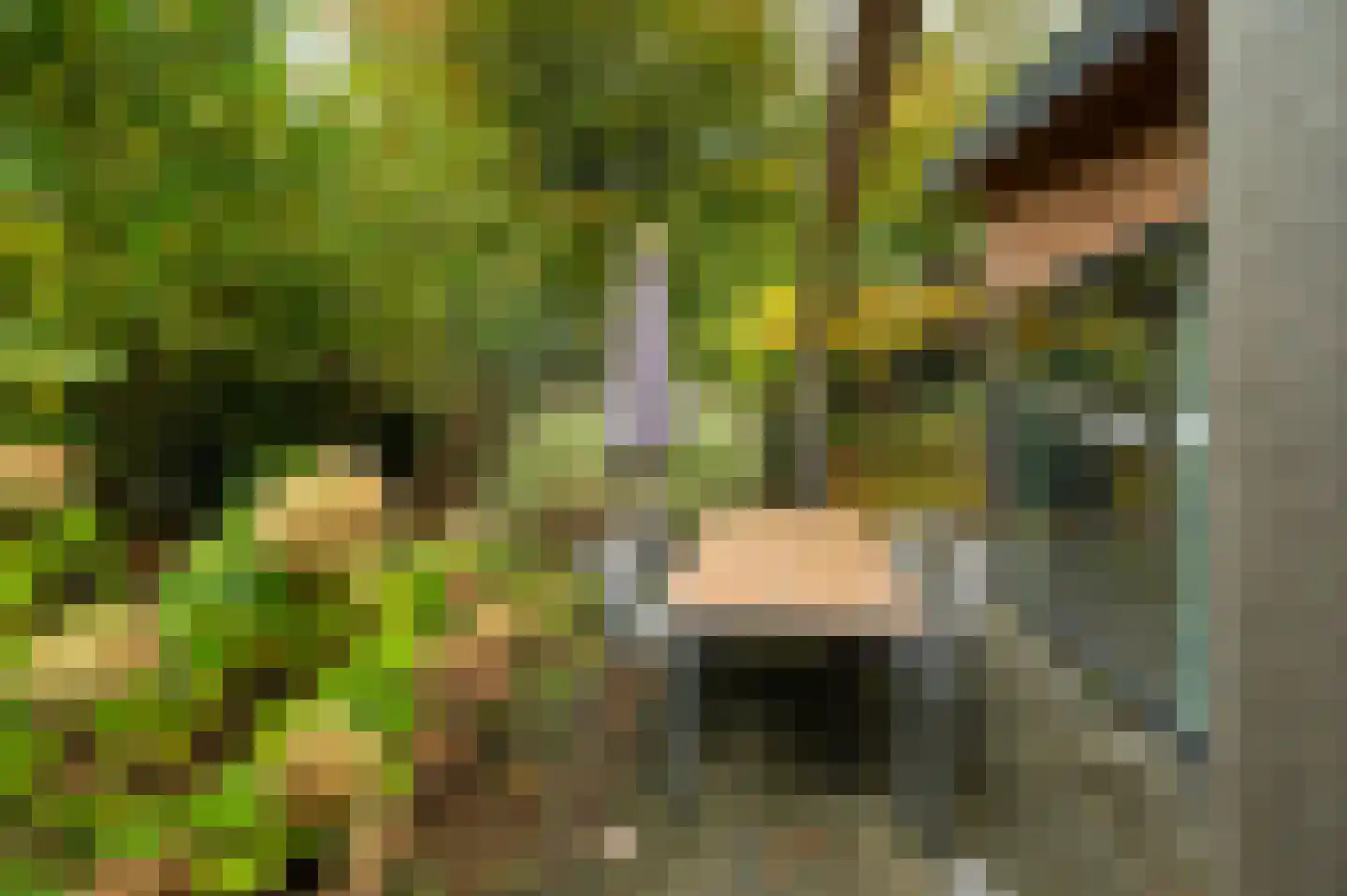 Roekelseweg 48 R 78 Wekerom thumbnail 27