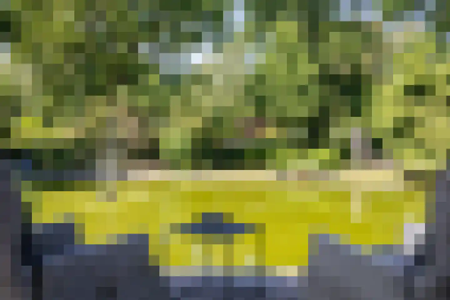 Roekelseweg 48 R B23 Wekerom thumbnail 22