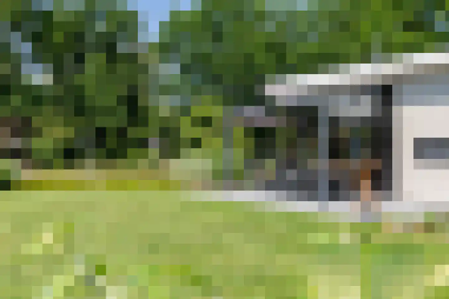Roekelseweg 48 R B23 Wekerom thumbnail 4