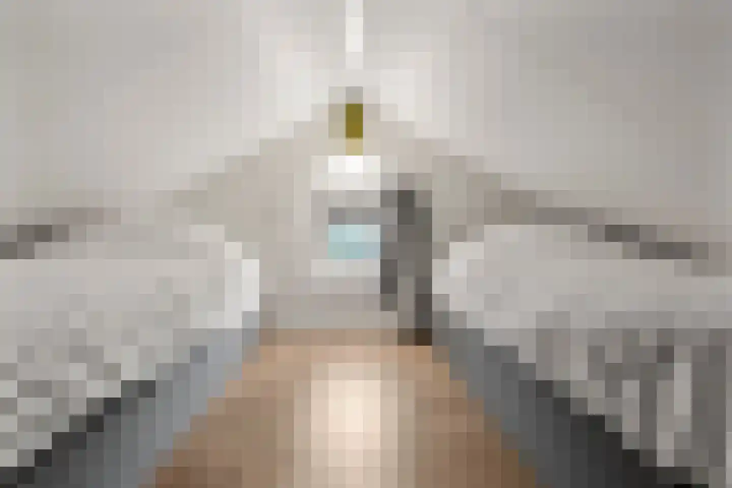 Roekelseweg 48 R B36 Wekerom thumbnail 18