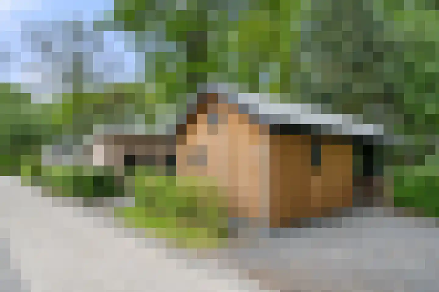 Roekelseweg 48 R B36 Wekerom thumbnail 25