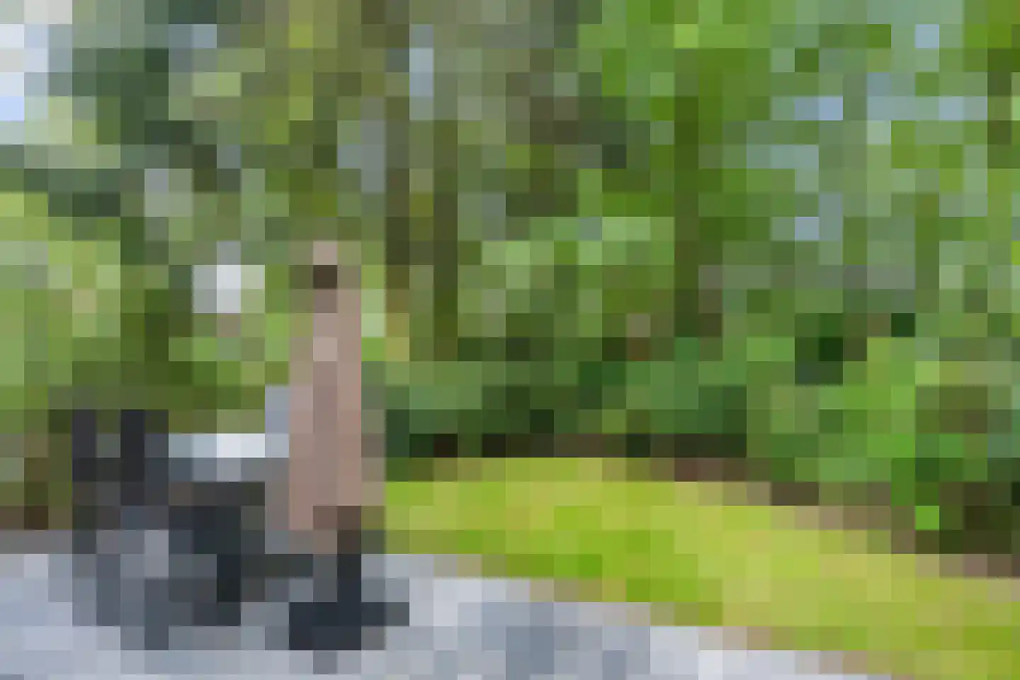 Roekelseweg 48 R B36 Wekerom thumbnail 5