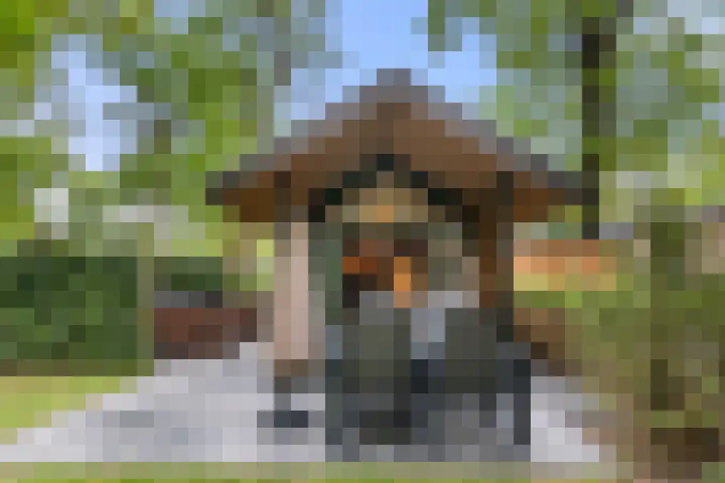 Roekelseweg 48 R B36 Wekerom thumbnail 6