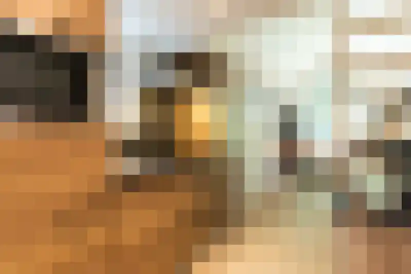 Roekelseweg 48 R B36 Wekerom thumbnail 8
