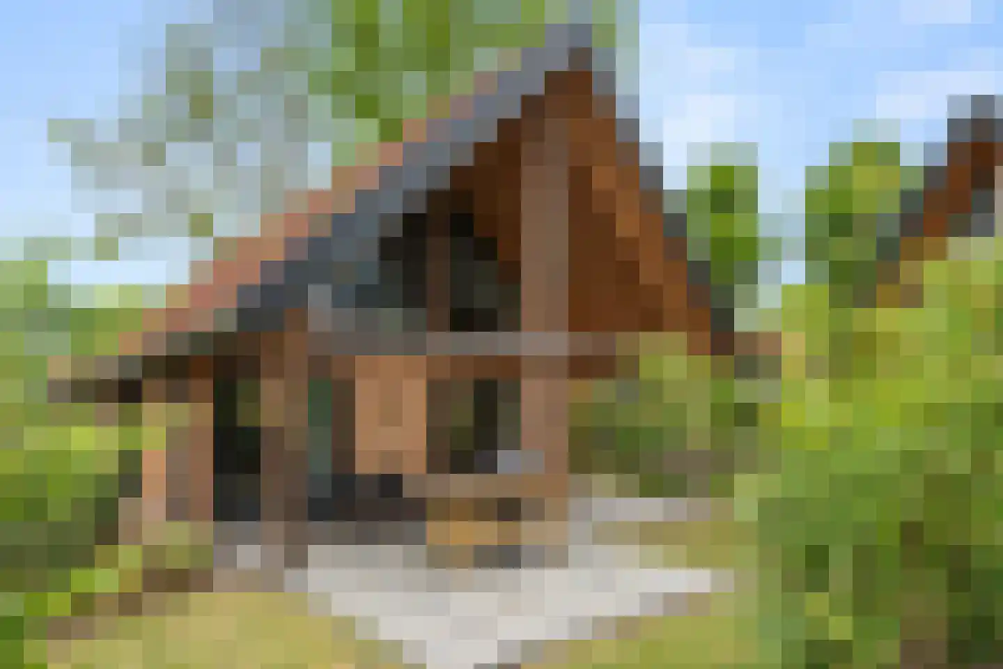 Roekelseweg 54 R 10 Wekerom thumbnail 33