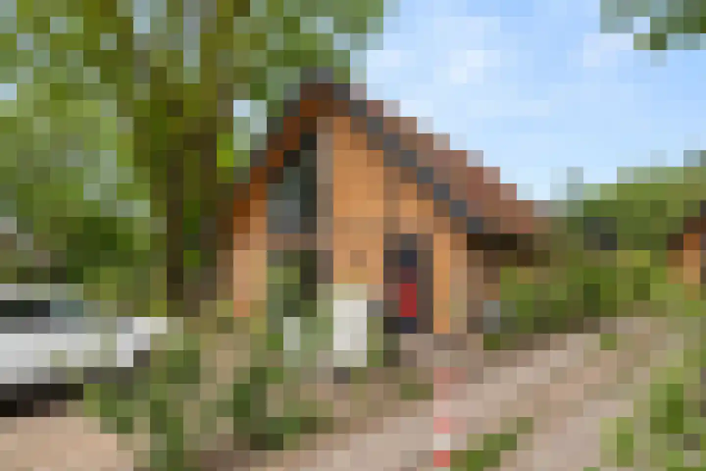 Roekelseweg 54 R 10 Wekerom thumbnail 42