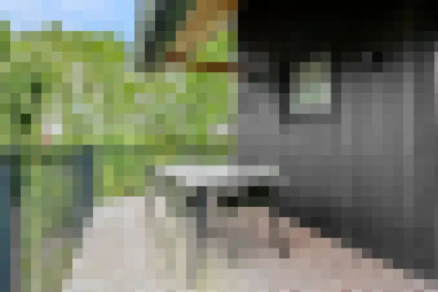 Roekelseweg 54 R 30 Wekerom thumbnail 35