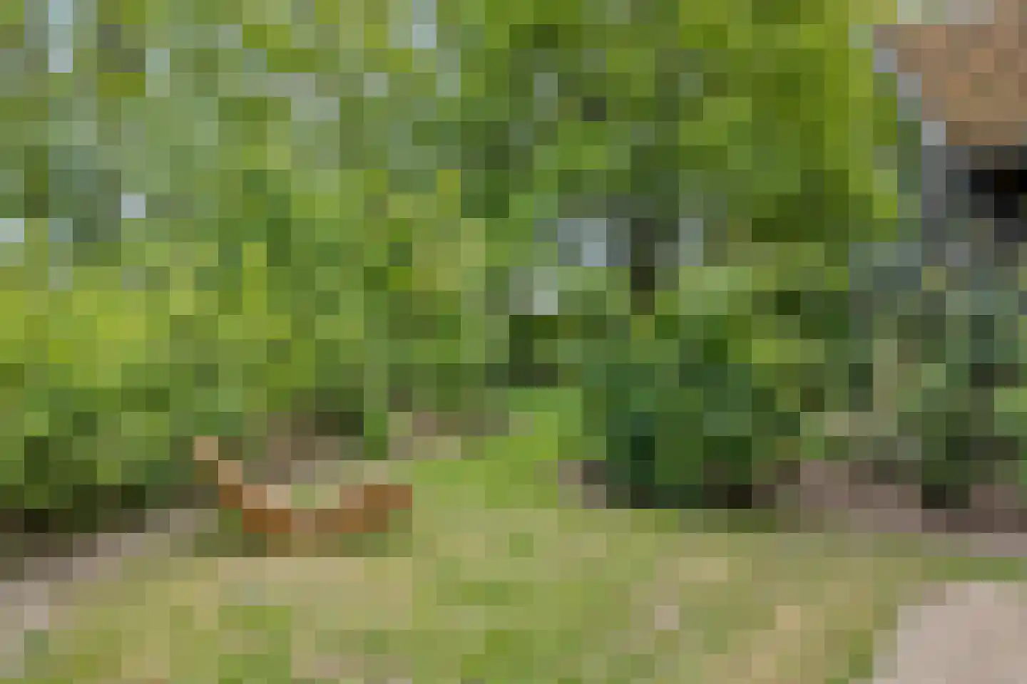 Roekelseweg 54 R 30 Wekerom thumbnail 39