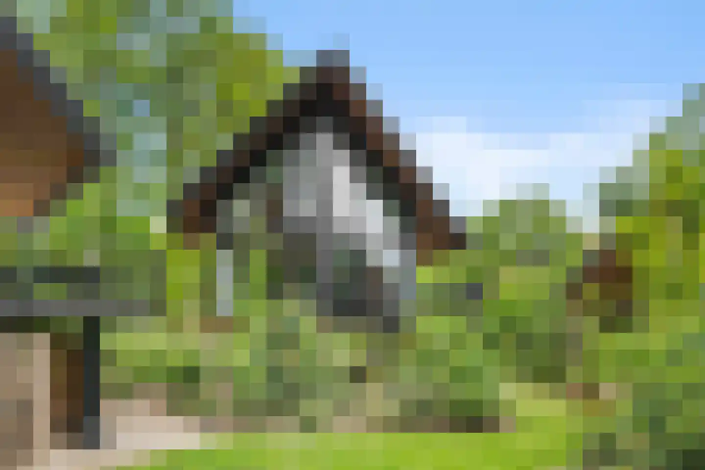 Roekelseweg 54 R 30 Wekerom thumbnail 41